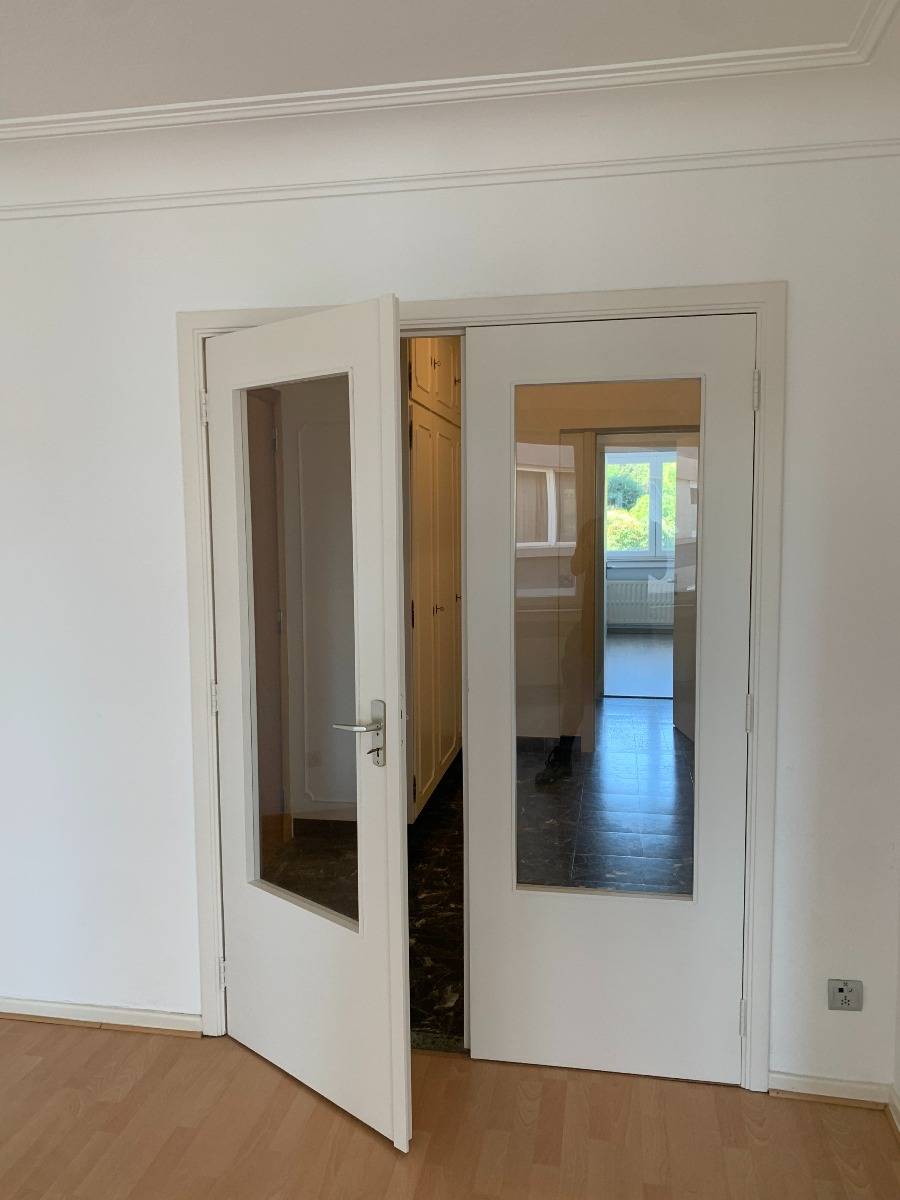 Double-porte-bois-verre-blanche